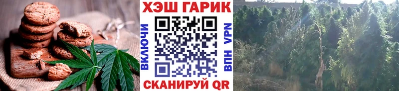 Купить где  Чернушка  Cannafood марихуана 