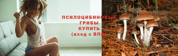 метадон Семёнов