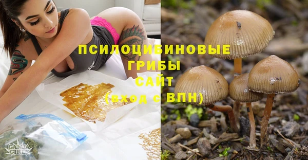 дмт Саяногорск