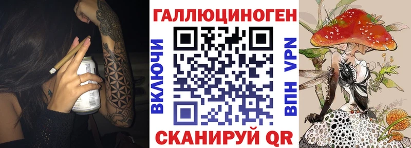 Псилоцибиновые грибы Magic Shrooms  Купить где  Чернушка 