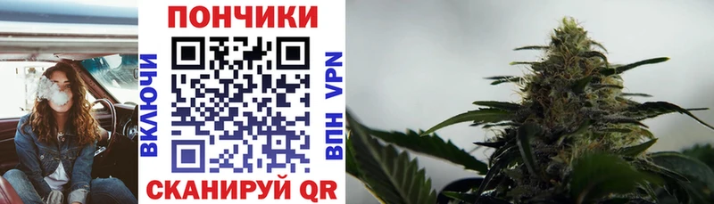 Купить где  Чернушка  Каннабис White Widow 